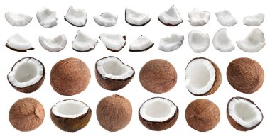 Beyaz hindistan cevizleri, kolaj. Bütün ve parçalar.