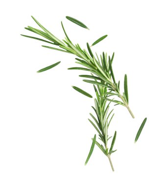 Beyaz arka planda taze yeşil biberiye