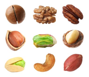 Macadamia ve diğer fındıklar beyaza izole edilmiş.