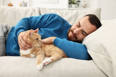 Evdeki kanepede zencefilli kediyi okşayan adam.