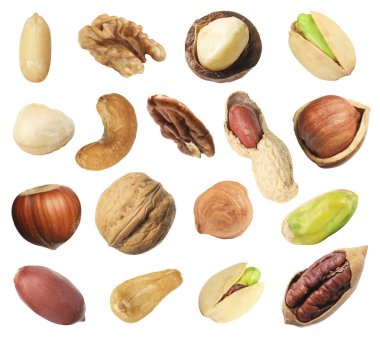 Macadamia ve diğer fındıklar beyaza izole edilmiş.