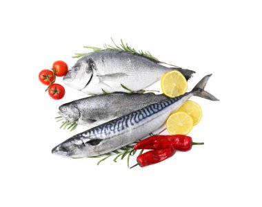 Deniz ürünleri. Farklı taze balık türleri, baharatlar ve domatesler beyaz, üst görünüm