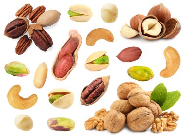 Macadamia ve diğer fındıklar beyaza izole edilmiş.