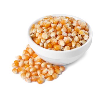 Taze mısır taneleri beyaz kasede izole edilmiş.