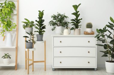 Sulama kutusu, güzel bitkiler ve kapalı alandaki çekmeceler.