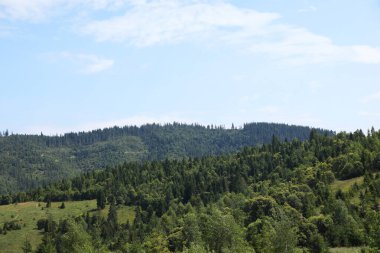 Mavi gökyüzünün altındaki ormanların güzel manzarası.