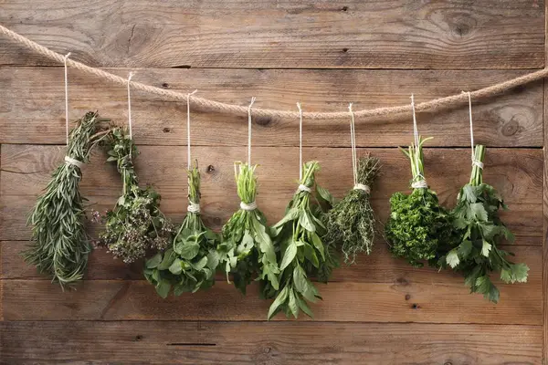 Ahşap duvarın yanında ipte asılı farklı aromatik otlar var.