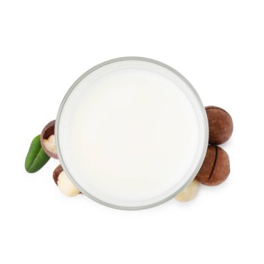 Bir bardak Macadamia sütü ve fındık beyaz, üst manzara