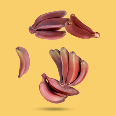 Red baby bananas falling on yellow background clipart