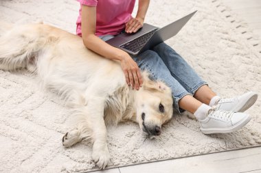 Çevrimiçi evcil hayvan dükkanı. Dizüstü bilgisayarı olan bir kadın evdeki halıdaki sevimli Golden Retriever köpeği için sipariş veriyor.