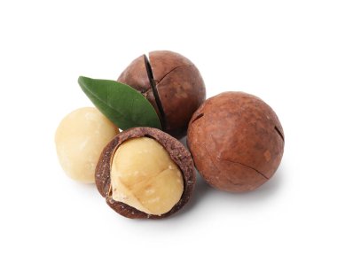 Beyaz kabuklu Macadamia fındığı