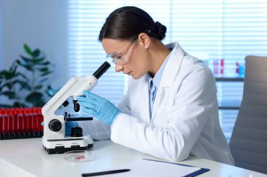 Laboratuvar testi. Doktor, mikroskopla kapalı bir masada çalışıyor.