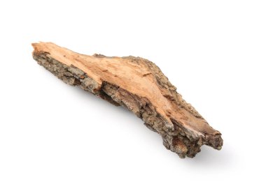 Ağaç kabuğunun bir parçası beyaza izole edilmiş