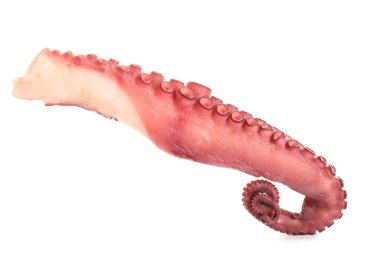 Bir çiğ ahtapot dokunacı beyaza izole edilmiş.