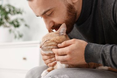 Evdeki koltukta sevimli kızıl kediyi okşayan adam.