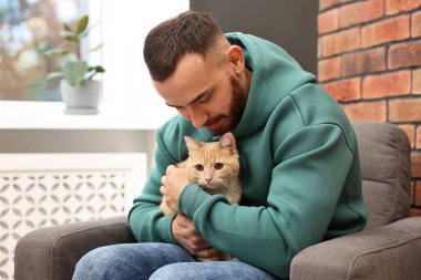 Evdeki koltukta sevimli kızıl kediyi okşayan adam.