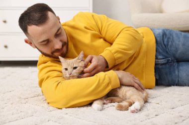 Evdeki sevimli kızıl kediyi okşayan adam.