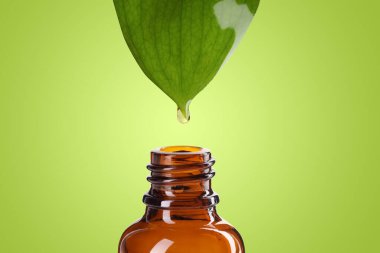 Temel yağ yeşil yapraktan renkli arka planda şişeye damlıyor