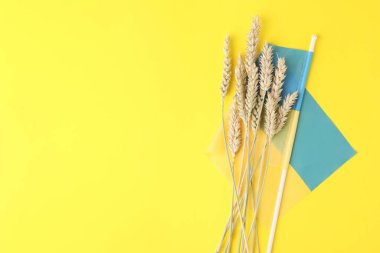 Buğday kulakları ve sarı arka planda Ukrayna ulusal bayrağı. Metin için boşluk