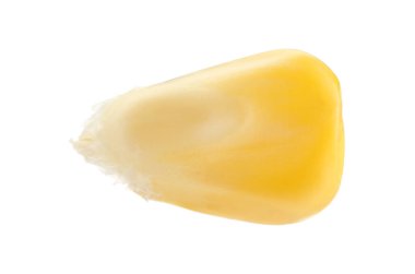 Bir taze mısır çekirdeği beyaza izole edilmiş.