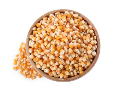 Tahta kasedeki taze mısır taneleri beyaz, üst manzara izole