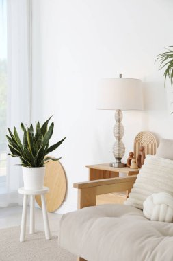 Tabure, kanepe, lamba ve ev bitkisi. İç tasarım