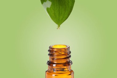 Temel yağ yeşil yapraktan renkli arka planda şişeye damlıyor
