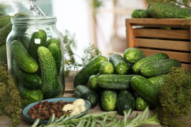 Taze salatalık, dereotu, biberiye ve baharatlar ahşap masada, yakın plan. Turşu hazırlama