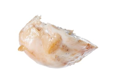 Beyaza izole edilmiş ızgara tavuk eti.