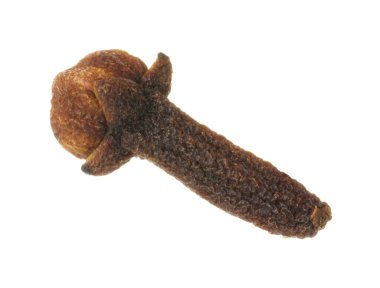 Bir kuru karanfil tomurcuğu beyazda izole edilmiş. Aromatik baharat