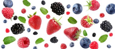 Beyaz arka planda taze böğürtlen karışımı