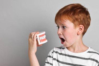 Dental phobia. Scared boy with model of jaw on grey background clipart