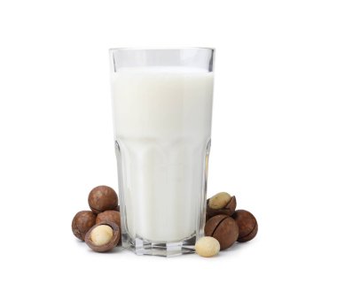 Beyaz üzerine izole edilmiş bir bardak Macadamia sütü ve fındık.