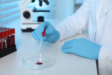 Laboratuvar testi. Doktor kan örneğini Petri kabına damlatıyor.
