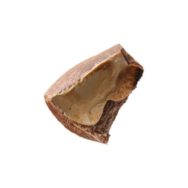 Macadamia cevizi kabuğu beyaza izole edilmiş.