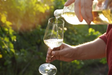 Adam şişeden bardağa lezzetli şarap dolduruyor, yakın plan. Metin için boşluk