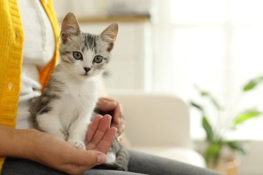Evde sevimli kedisi olan bir kadın, yakın plan. Metin için boşluk