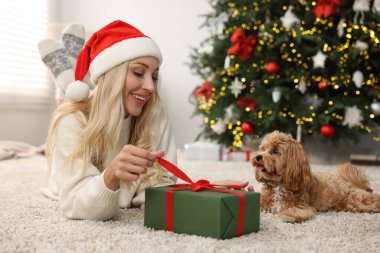 Kadın Noel hediyesini açıyor ve sevimli Maltipoo köpeği içeride.