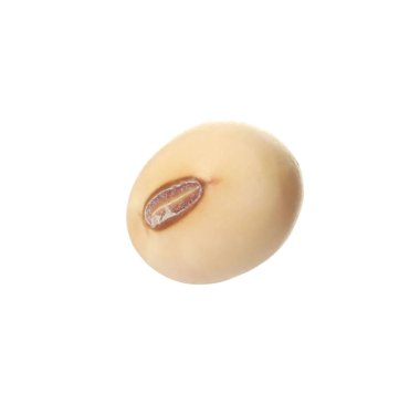 Bir çiğ soya fasulyesi beyaz üzerine izole