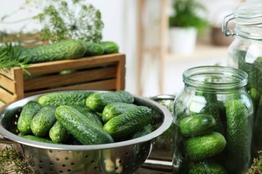 Masada taze salatalıklar, yakın plan. Turşu hazırlama