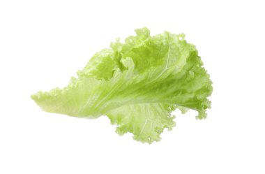 Beyaz üzerine izole edilmiş taze marul yaprağı.