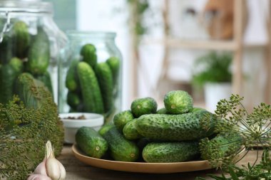 Taze salatalık, dereotu ve sarımsak, yakın plan. Turşu hazırlama