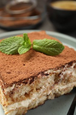 Bir parça lezzetli tiramisu. Masada taze nane var. Yakın plan.