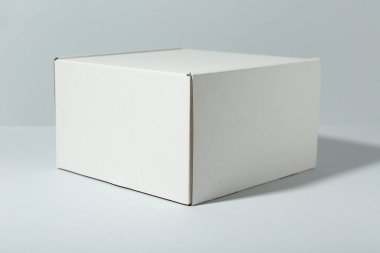 Beyaz arka planda boş bir karton kutu. Tasarım için model