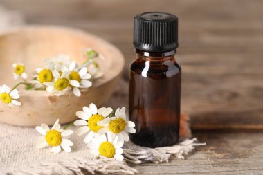 Ahşap masada bir şişe yağ ve papatya çiçeği, yakın plan.