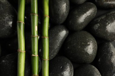 Bambu sapları spa taşları üzerinde, üst görünüm