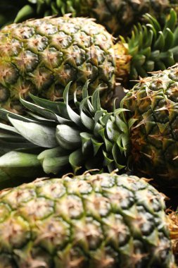 Arkaplan olarak taze ananas, yakın plan görünümü