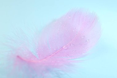 Açık mavi arkaplanda tüylü pembe tüy, yakın plan.