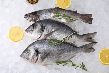 Deniz ürünleri. Farklı türde çiğ balık, buz küpleri üzerinde limon ve biberiye.