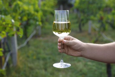 Bardak tutan adam dışarıda lezzetli şarapla, yakın plan. Metin için boşluk